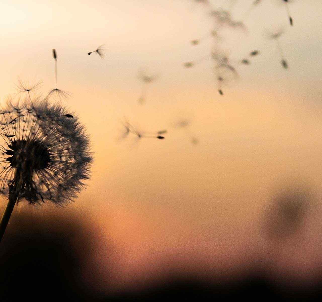https://vesser.com.mx/wp-content/uploads/2018/09/post_02-1280x1200.jpg