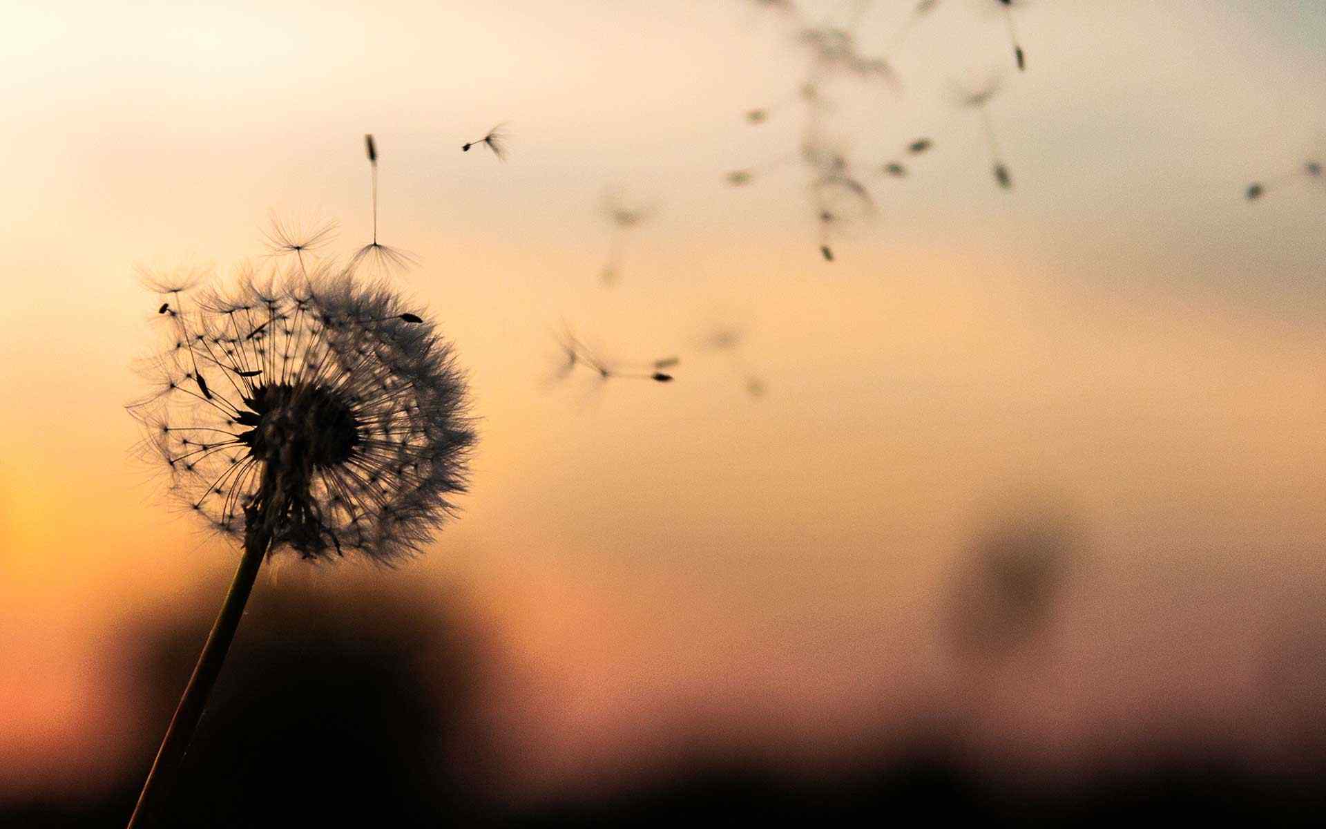 https://vesser.com.mx/wp-content/uploads/2018/09/post_02.jpg